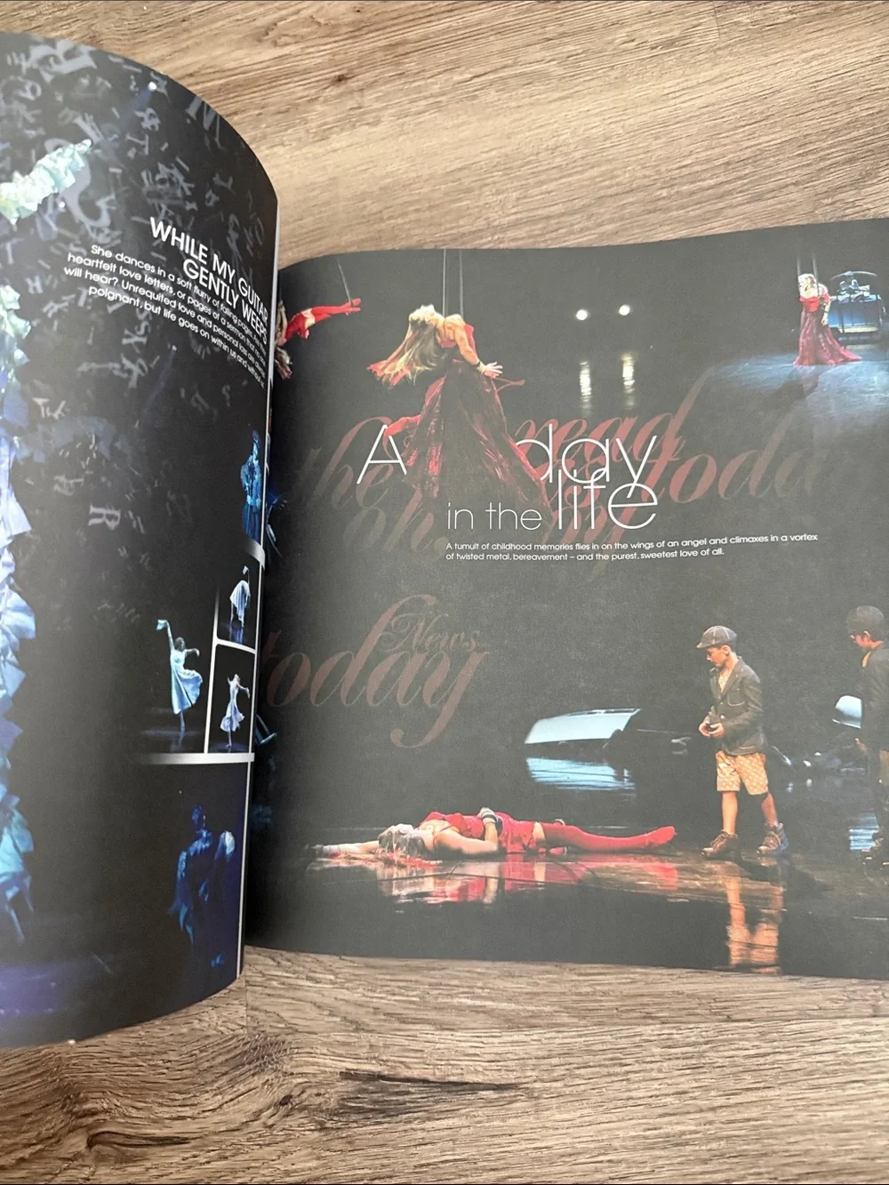 The Beatles LOVE Cirque du Soleil 2006 Souvenir Program Book The Mirage